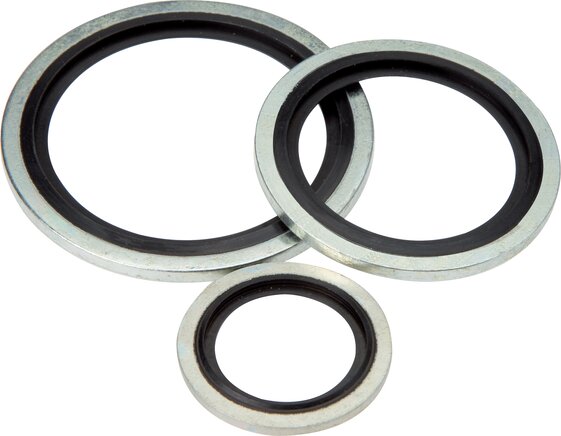 Exemplary representation: Hydraulic gaskets